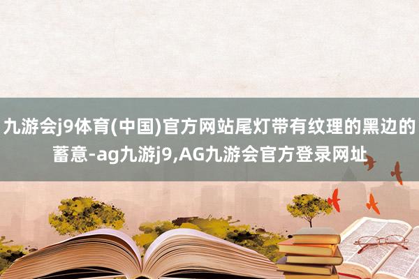 九游会j9体育(中国)官方网站尾灯带有纹理的黑边的蓄意-ag九游j9,AG九游会官方登录网址