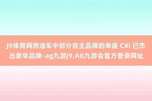J9体育网燃油车中部分自主品牌的举座 CXI 已杰出豪华品牌-ag九游j9,AG九游会官方登录网址
